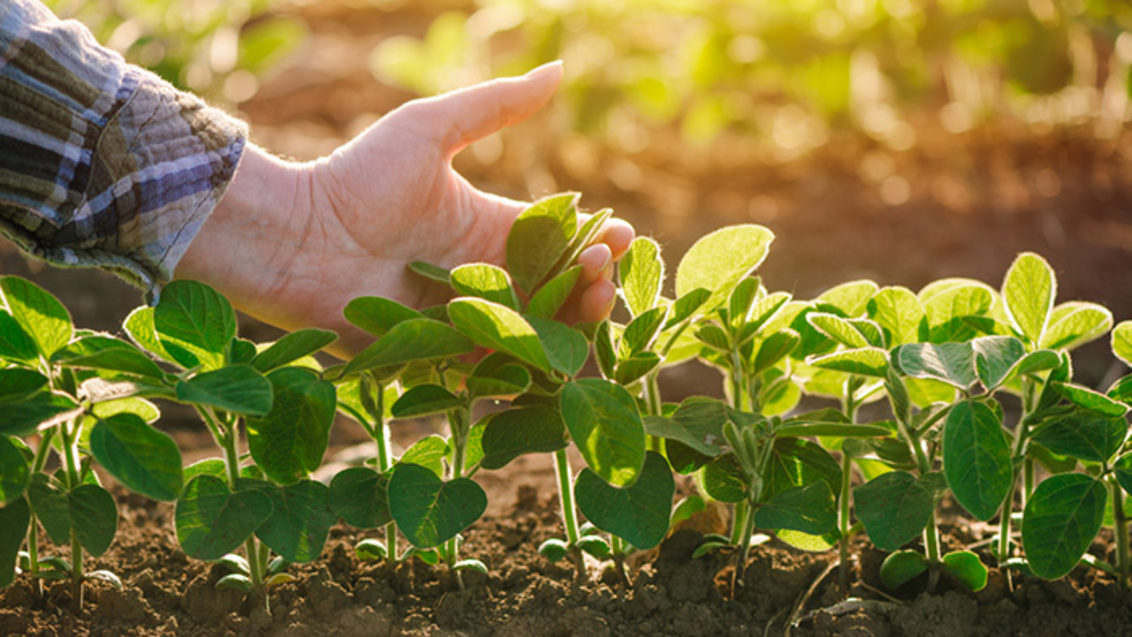 Cursos bonificados de Agricultura online