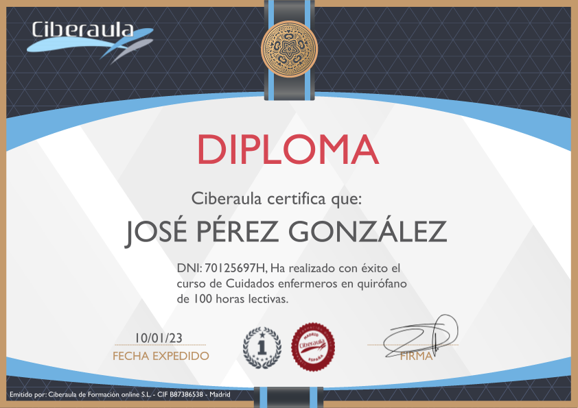Diploma Ciberaula