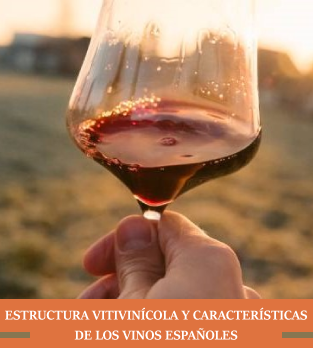 Cursos bonificados de hosteleria