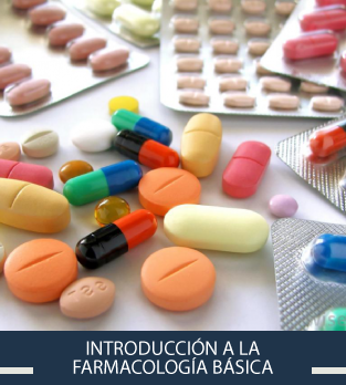 Curso online bonificado de Introducción a la Farmacología Básica