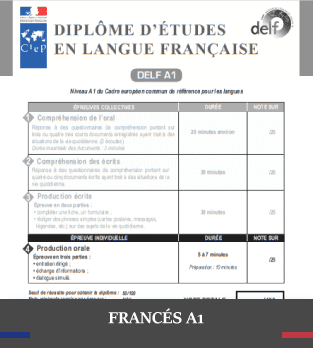 cursos bonificados de idiomas