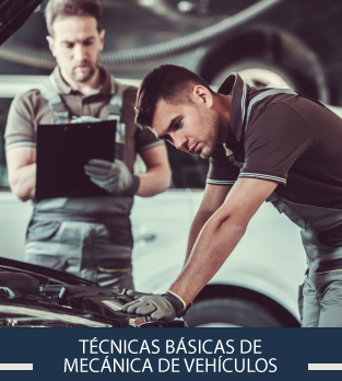 Curso online bonificado de Técnicas Básicas de Mecánica de Vehículos