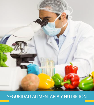 Cursos de Seguridad Alimentaria