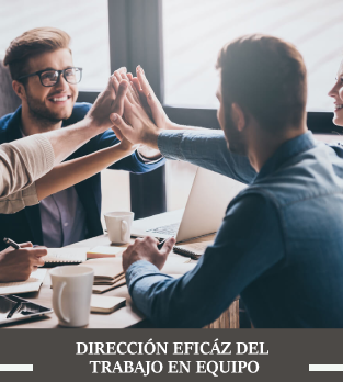 Dirección Eficaz del Trabajo en Equipo