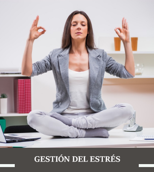 curso salud mental