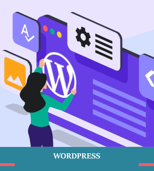 cursos bonificados de wordpress